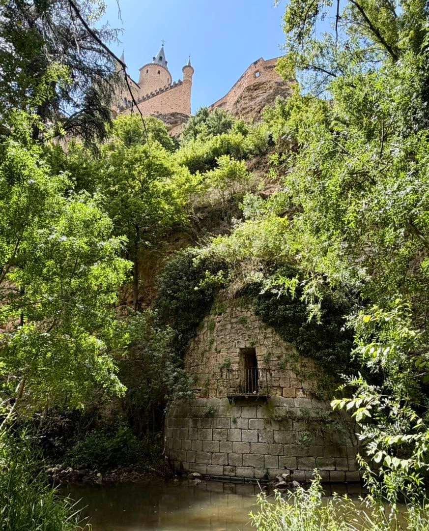 Segovia no es solo su impresionante Acueducto , su catedral y su majestuoso Alcázar.
‼️La ciudad también esconde maravillosos rincones naturales, como los valles del Clamores y del Eresma, donde se puede disfrutar de agradables paseos entre ríos, vegetación y unas vistas únicas.
🎯Si os apetece descubrir una Segovia diferente, más tranquila y auténtica, estaremos encantados de enseñaros estas joyas escondidas. 🌿🏰✨
#privatetours #madridtravelprivatetours #segovia #valledelclamores #valledeleresma #visitspain #arteynaturaleza
