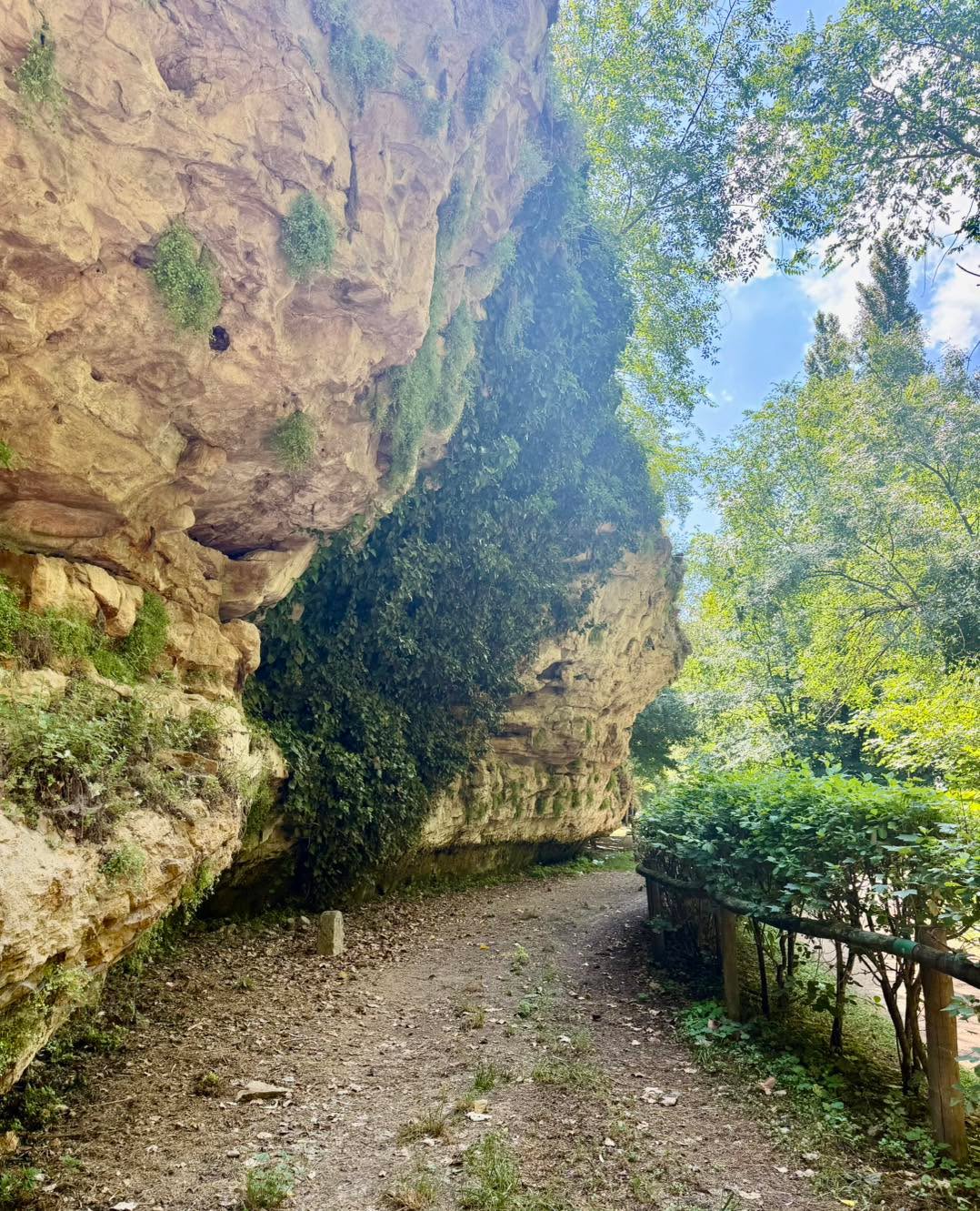Segovia no es solo su impresionante Acueducto , su catedral y su majestuoso Alcázar.
‼️La ciudad también esconde maravillosos rincones naturales, como los valles del Clamores y del Eresma, donde se puede disfrutar de agradables paseos entre ríos, vegetación y unas vistas únicas.
🎯Si os apetece descubrir una Segovia diferente, más tranquila y auténtica, estaremos encantados de enseñaros estas joyas escondidas. 🌿🏰✨
#privatetours #madridtravelprivatetours #segovia #valledelclamores #valledeleresma #visitspain #arteynaturaleza