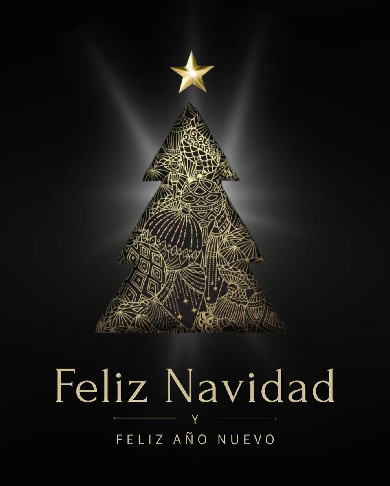 🎄✨ De la pasarela a tu corazón: AB Fashion te desea unas fiestas llenas de estilo, creativ....